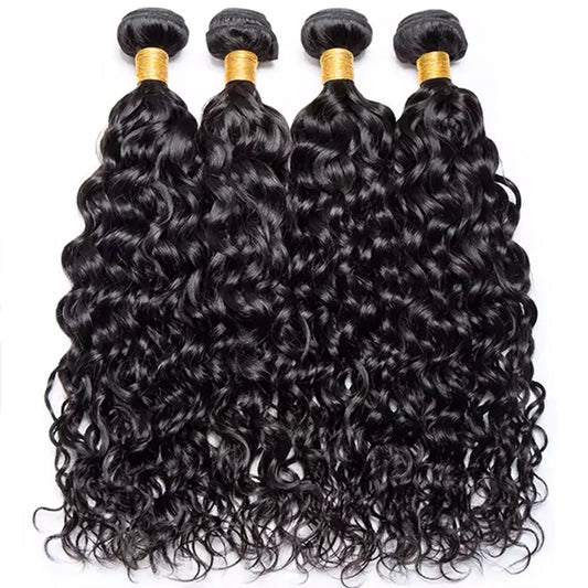 Malaysian Human Hair Water Wave Bundles With Lace Closure 100% Virgin Human Hair Weave With 4x4 HD Transparent Lace Closure